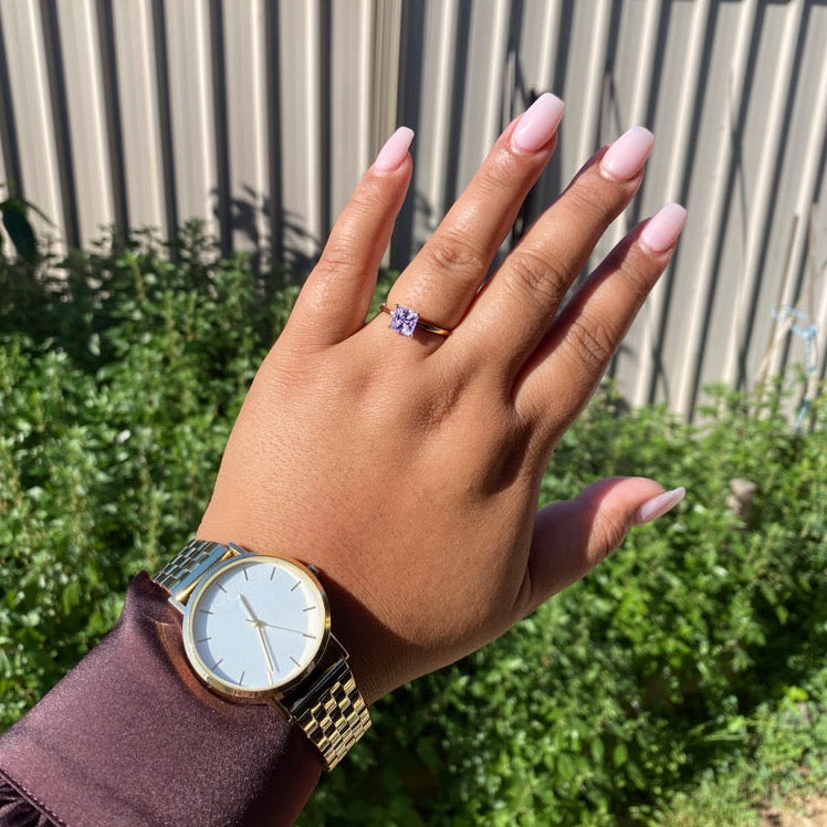 Tipani: Vibrant Edition